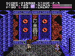 Ninja Gaiden screenshot