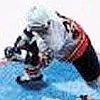Pro Sport Hockey artwork