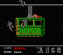 snake's revenge