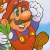 Super Mario Bros. 2 (NES)