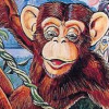 Toki (NES)