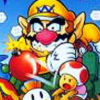 Wario's Woods (NES)