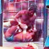 WWF Wrestlemania: Steel Cage Challenge artwork