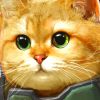 Armored Kitten (XSX) game cover art