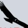 Condor artwork