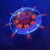 Microcosmum: survival of cells (XSX) game cover art