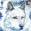 Nancy Drew: The White Wolf of Icicle Creek (PC) artwork