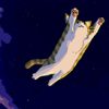 Neko Navy (PC)