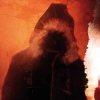 Penumbra Collection artwork