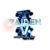 Raiden V: Directors Cut artwork