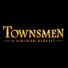 Townsmen: A Kingdom Rebuilt artwork