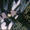 Batman: The Animated Series (XSX) game cover art