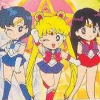 Bishoujo Senshi Sailor Moon R (XSX) game cover art