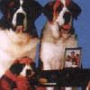 Beethoven: The Ultimate Canine Caper artwork