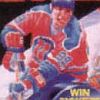 Blades of Steel artwork