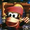 Donkey Kong Land III artwork
