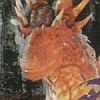 DragonHeart (XSX) game cover art