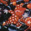 Mr. Do! (XSX) game cover art