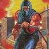 Ninja Gaiden Shadow (XSX) game cover art