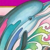 Dolphin (XSX) game cover art