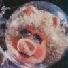 Pigs in Space (XSX) game cover art