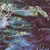 Seahawk (XSX) game cover art