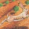 Wabbit (XSX) game cover art