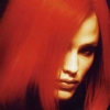 Alias (XSX) game cover art