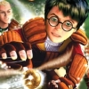 Harry Potter: Quidditch World Cup (XSX) game cover art