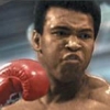 Knockout Kings 2002 (XSX) game cover art