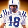 NFL Fever 2004 (XSX) game cover art