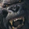 Peter Jackson's King Kong: The Official Game of the Movie (XSX) game cover art