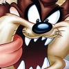 Taz: Wanted (XSX) game cover art