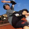 Tony Hawk's Pro Skater 4 artwork