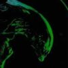 Alien 3 (XSX) game cover art