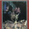Wrath of Denethenor (Apple II) artwork