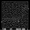 The Amazing Maze Game artwork
