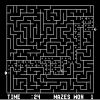 The Amazing Maze Game (Arcade)