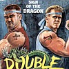 Double Dragon (XSX) game cover art