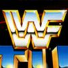 WWF WrestleFest artwork