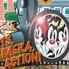 Animaniacs: Lights, Camera, Action! (XSX) game cover art