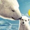 Arctic Tale artwork
