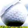 ESPN Final Round Golf 2002 artwork