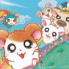 Hamtaro: Rainbow Rescue (XSX) game cover art
