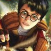Harry Potter: Quidditch World Cup (Game Boy Advance) artwork