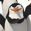 Madagascar: Operation Penguin (XSX) game cover art