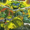 Teenage Mutant Ninja Turtles: Double Pack (XSX) game cover art