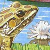 Frog Bog artwork