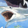 Shark! Shark! (XSX) game cover art