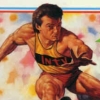 Super Pro Decathlon artwork